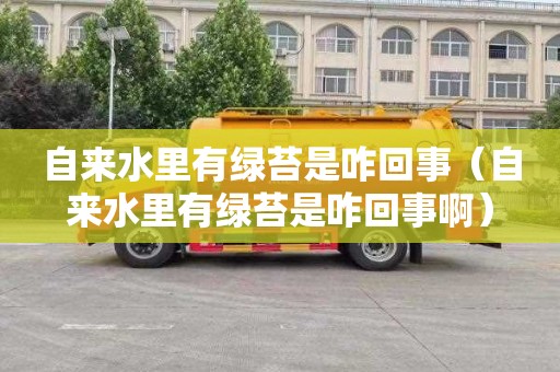 自来水里有绿苔是咋回事（自来水里有绿苔是咋回事啊）