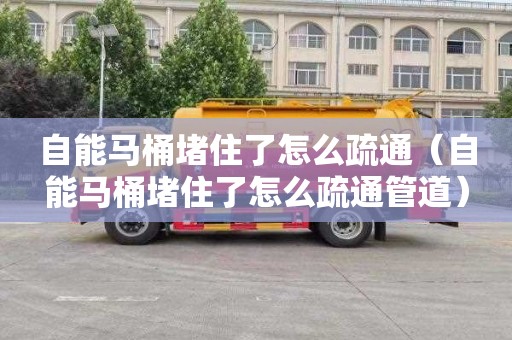 自能马桶堵住了怎么疏通（自能马桶堵住了怎么疏通管道）