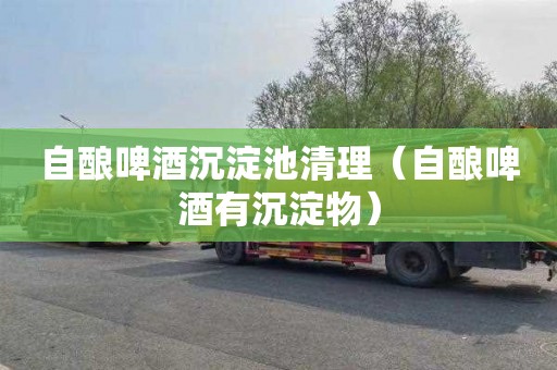 自酿啤酒沉淀池清理（自酿啤酒有沉淀物）