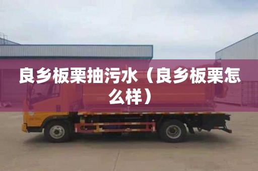 良乡板栗抽污水（良乡板栗怎么样）