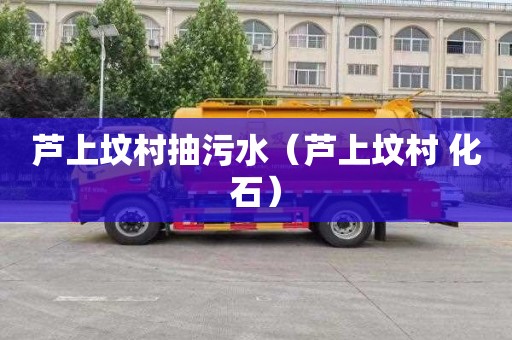 芦上坟村抽污水（芦上坟村 化石）