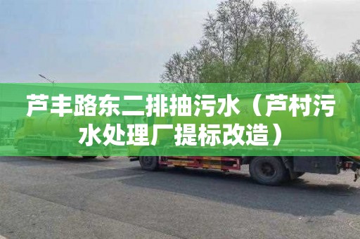 芦丰路东二排抽污水（芦村污水处理厂提标改造）