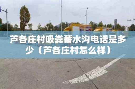 芦各庄村吸粪蓄水沟电话是多少（芦各庄村怎么样）
