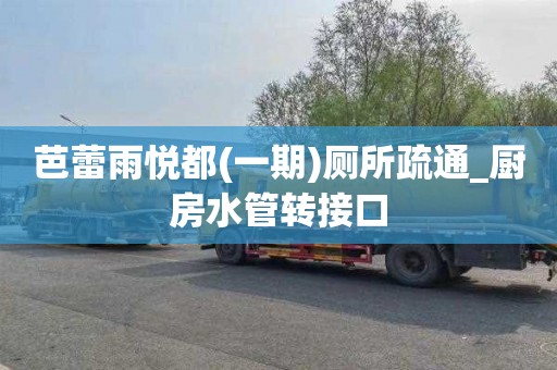 芭蕾雨悦都(一期)厕所疏通_厨房水管转接口