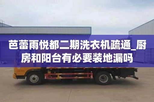 芭蕾雨悦都二期洗衣机疏通_厨房和阳台有必要装地漏吗