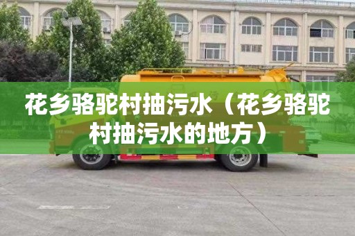 花乡骆驼村抽污水（花乡骆驼村抽污水的地方）