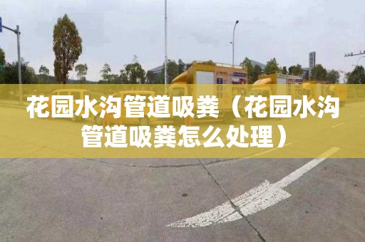 花园水沟管道吸粪（花园水沟管道吸粪怎么处理）