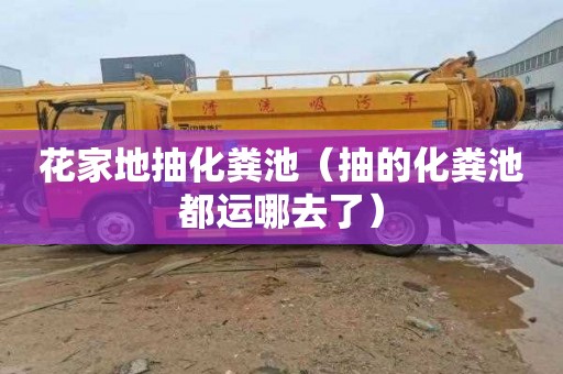 花家地抽化粪池（抽的化粪池都运哪去了）