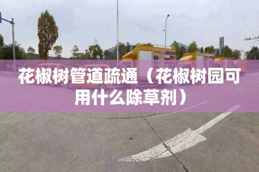 花椒树管道疏通（花椒树园可用什么除草剂）