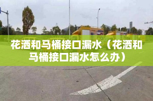 花洒和马桶接口漏水（花洒和马桶接口漏水怎么办）