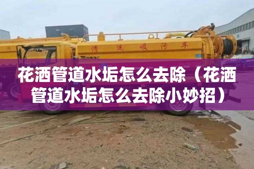 花洒管道水垢怎么去除（花洒管道水垢怎么去除小妙招）