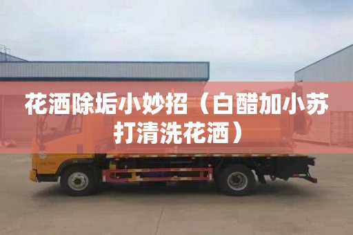 花洒除垢小妙招（白醋加小苏打清洗花洒）