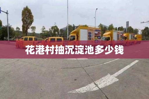 花港村抽沉淀池多少钱