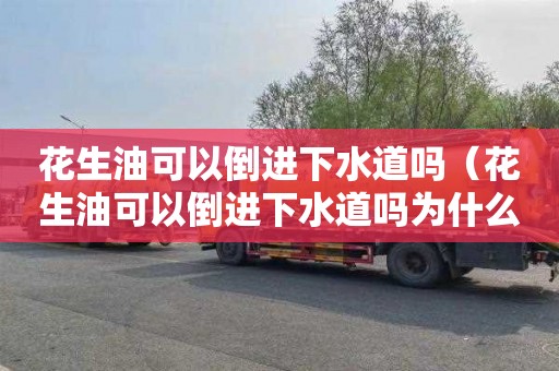 花生油可以倒进下水道吗（花生油可以倒进下水道吗为什么）