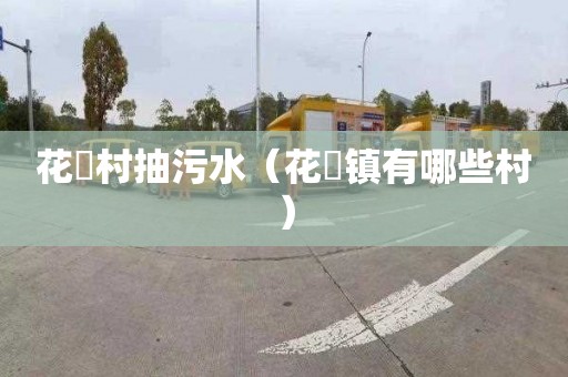 花硲村抽污水（花荄镇有哪些村）