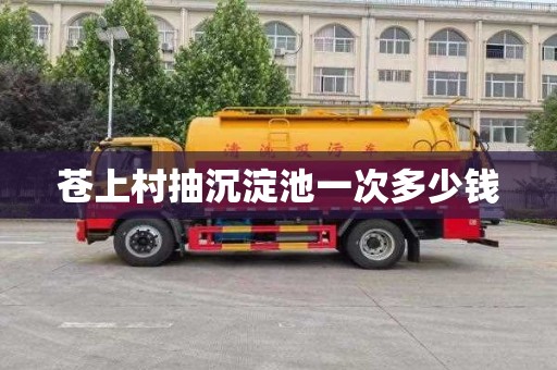 苍上村抽沉淀池一次多少钱