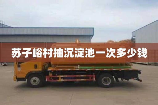 苏子峪村抽沉淀池一次多少钱