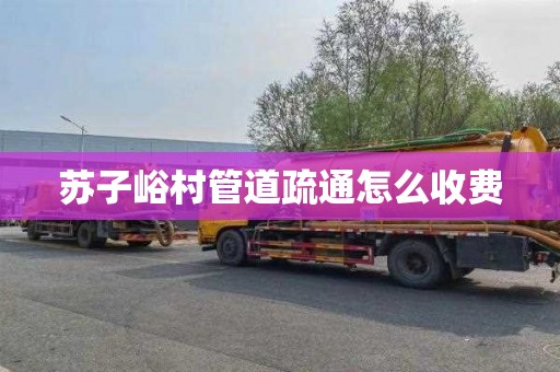 苏子峪村管道疏通怎么收费