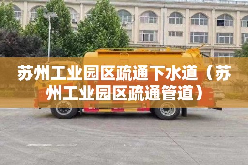 苏州工业园区疏通下水道（苏州工业园区疏通管道）
