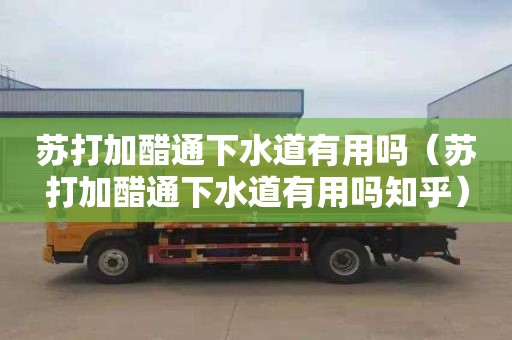 苏打加醋通下水道有用吗（苏打加醋通下水道有用吗知乎）