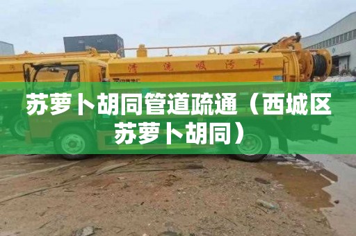 苏萝卜胡同管道疏通（西城区苏萝卜胡同）