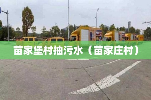 苗家堡村抽污水（苗家庄村）