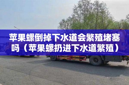 苹果螺倒掉下水道会繁殖堵塞吗（苹果螺扔进下水道繁殖）