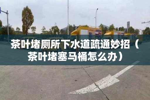 茶叶堵厕所下水道疏通妙招（茶叶堵塞马桶怎么办）