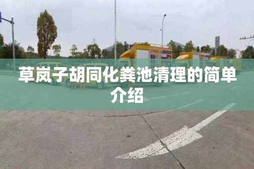 草岚子胡同化粪池清理的简单介绍