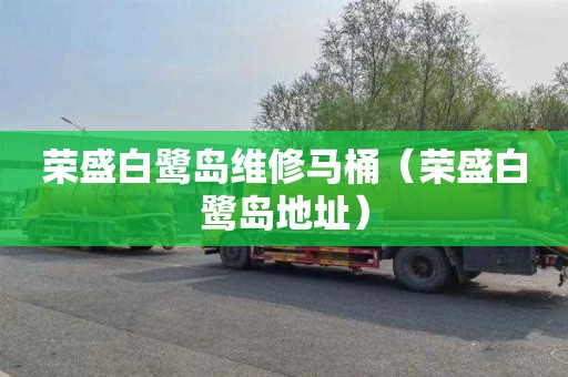荣盛白鹭岛维修马桶（荣盛白鹭岛地址）