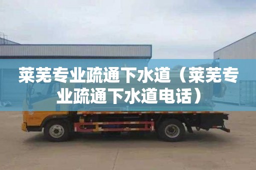 莱芜专业疏通下水道（莱芜专业疏通下水道电话）