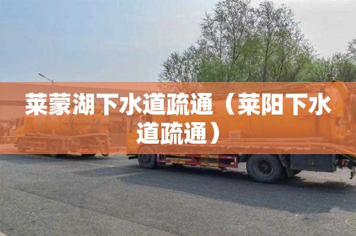 莱蒙湖下水道疏通（莱阳下水道疏通）