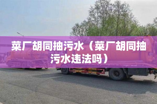 菜厂胡同抽污水（菜厂胡同抽污水违法吗）