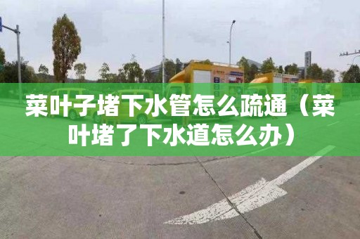 菜叶子堵下水管怎么疏通（菜叶堵了下水道怎么办）
