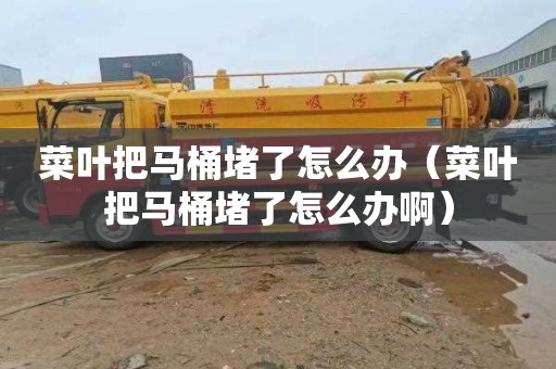 菜叶把马桶堵了怎么办（菜叶把马桶堵了怎么办啊）