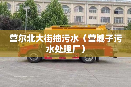 营尔北大街抽污水（营城子污水处理厂）