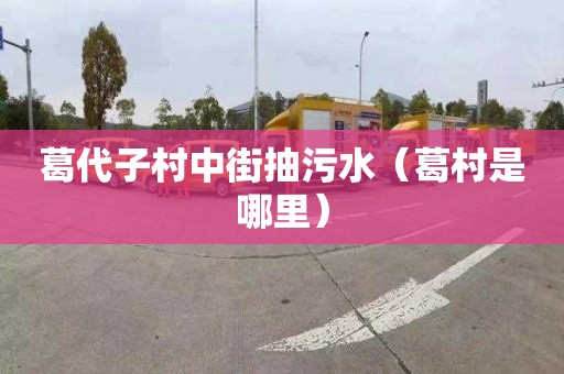 葛代子村中街抽污水（葛村是哪里）