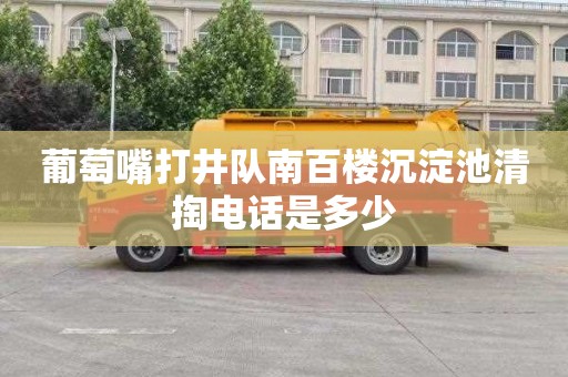 葡萄嘴打井队南百楼沉淀池清掏电话是多少