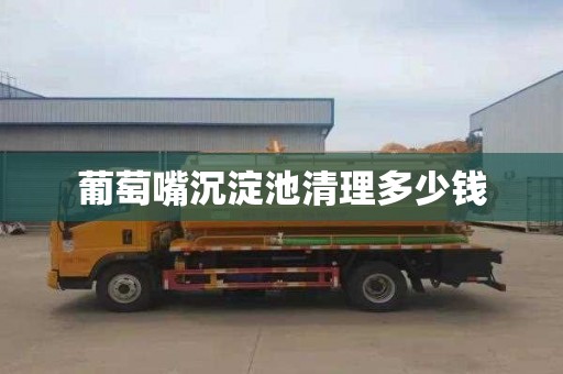 葡萄嘴沉淀池清理多少钱