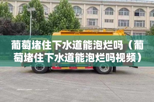 葡萄堵住下水道能泡烂吗（葡萄堵住下水道能泡烂吗视频）