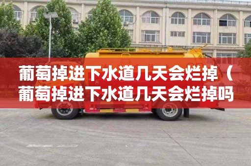 葡萄掉进下水道几天会烂掉（葡萄掉进下水道几天会烂掉吗）