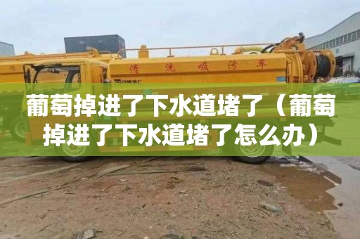 葡萄掉进了下水道堵了（葡萄掉进了下水道堵了怎么办）