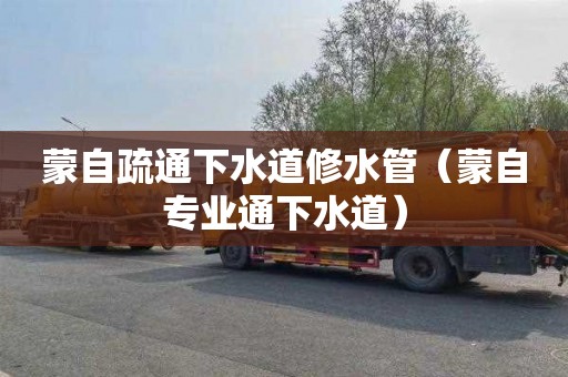 蒙自疏通下水道修水管（蒙自专业通下水道）