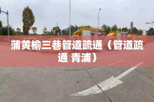 蒲黄榆三巷管道疏通（管道疏通 青浦）