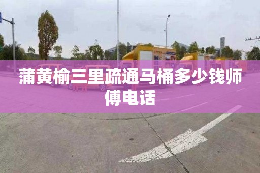 蒲黄榆三里疏通马桶多少钱师傅电话