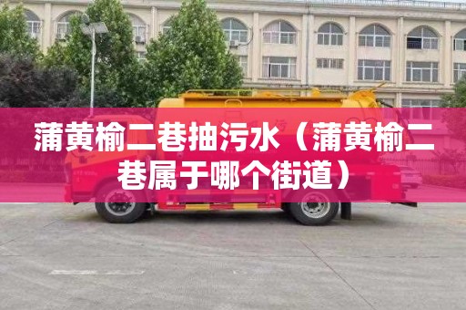 蒲黄榆二巷抽污水（蒲黄榆二巷属于哪个街道）