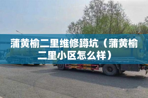 蒲黄榆二里维修蹲坑（蒲黄榆二里小区怎么样）