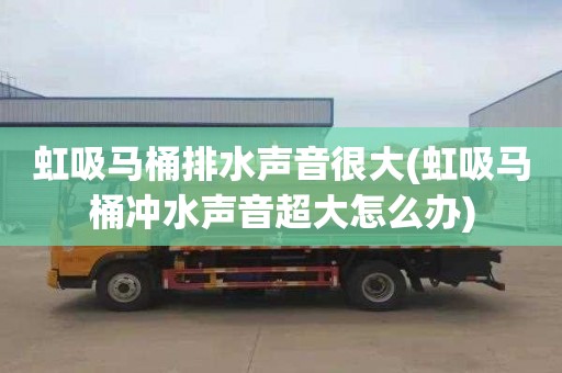虹吸马桶排水声音很大(虹吸马桶冲水声音超大怎么办)