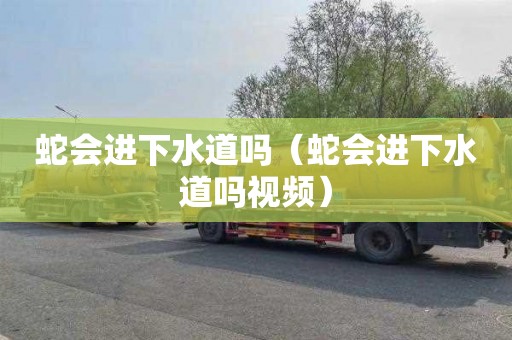蛇会进下水道吗（蛇会进下水道吗视频）