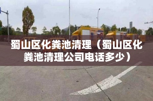 蜀山区化粪池清理（蜀山区化粪池清理公司电话多少）